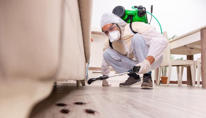 top and best pest control service in hyderabad
